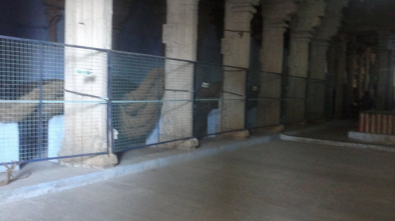 The thick ropes used by devotees to pull the Tiruchendur temple chariot